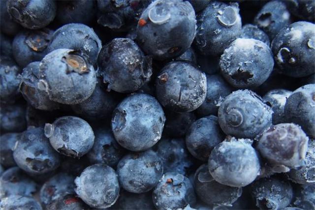 蓝莓什么品种最好吃最甜，蓝莓品种甜度排名？